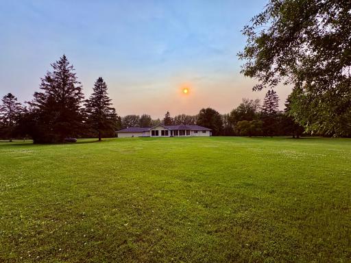 Back yard