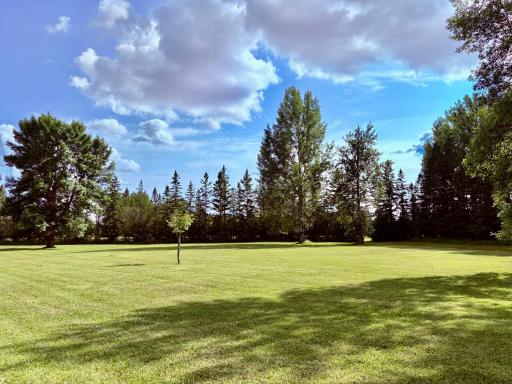Over 17 acres here!!