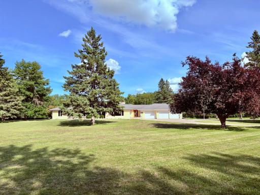 Sprawling park-like yard