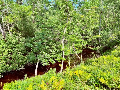 Warroad River East Branch