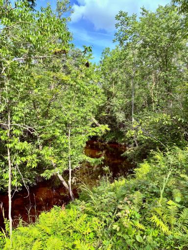 Warroad River- East Branch rolling through