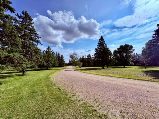 Driveway looking out