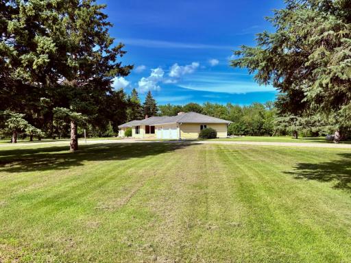 park- like yard