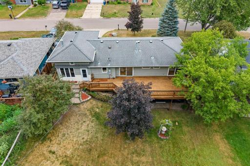 Walkout to oversized deck withprivate backyard w/ mature trees