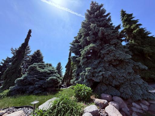 14484 Shady Beach Trail NE, Prior Lake, MN 55372