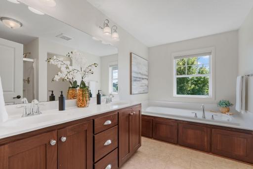 Spacious Primary Suite w/ vaulted ceiling, oversized walk-in closet, dual sinks + separate tub/shower