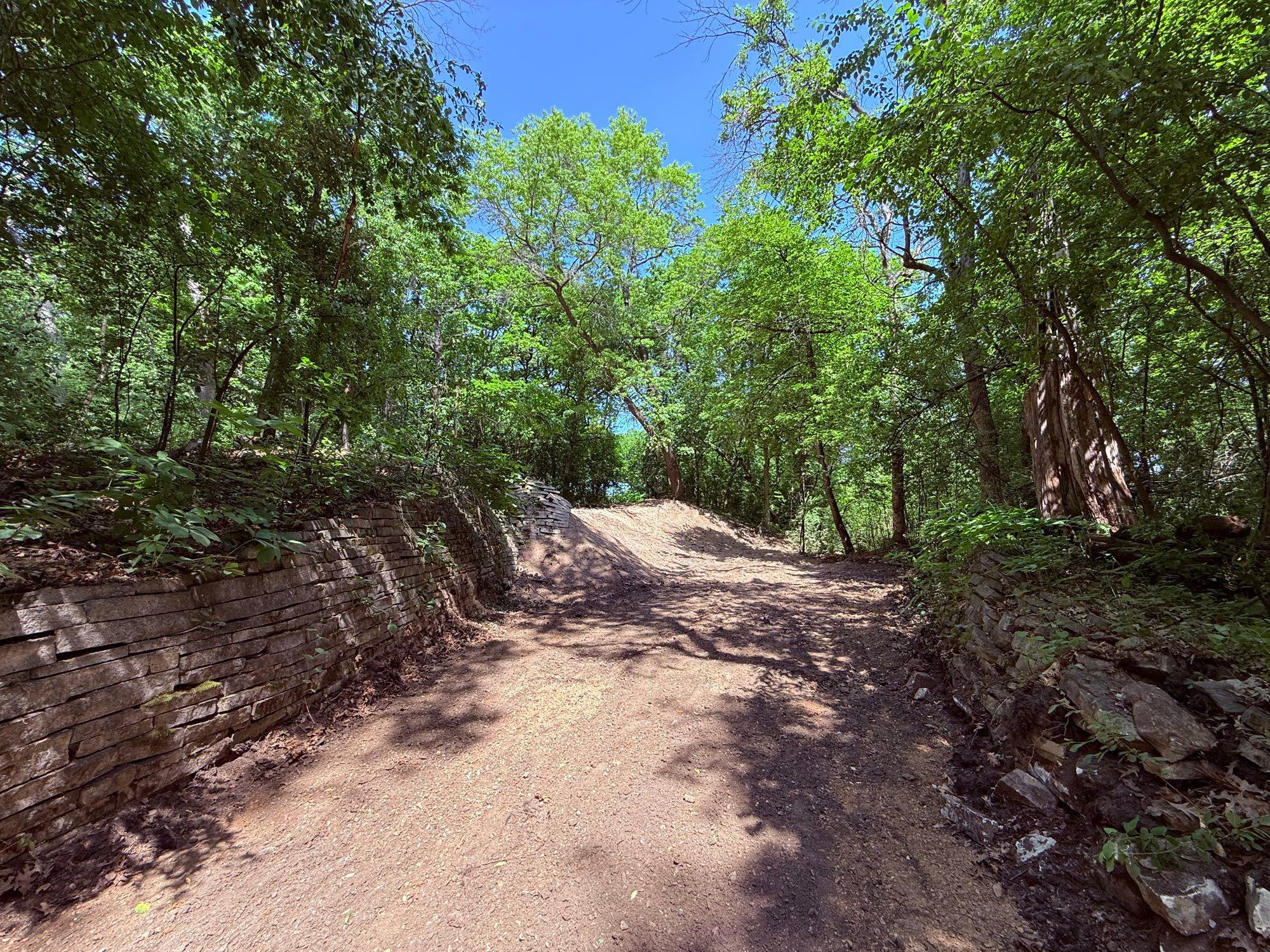 Driveway Looking North