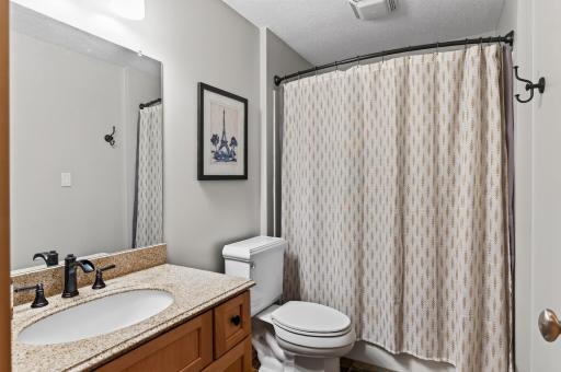 Lower level full bathroom