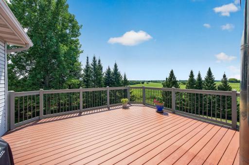 Maintenance free deck is in fantastic shape!