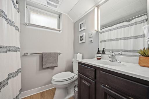 Lower level bathroom.