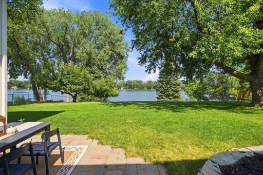 Fenced in yard with a tree swing!