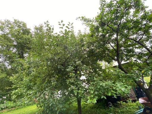 11381 Hubert Lane, Cold Spring, MN 56320