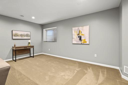 So much space in the lower level - workout? toys? office?
