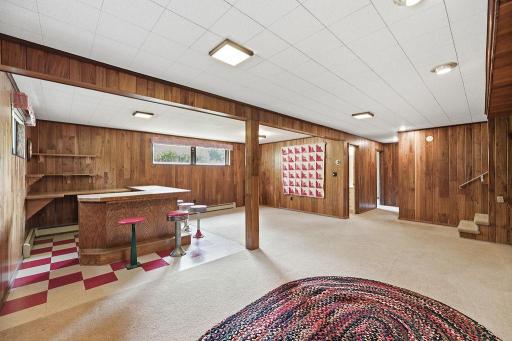 Lower level Family Room