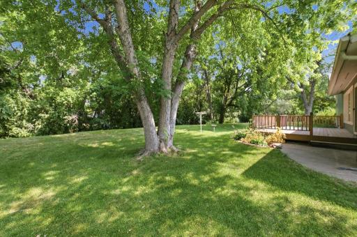 Riverside backyard with peaceful views and privacy!