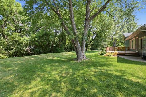 Large, private, treed backyard