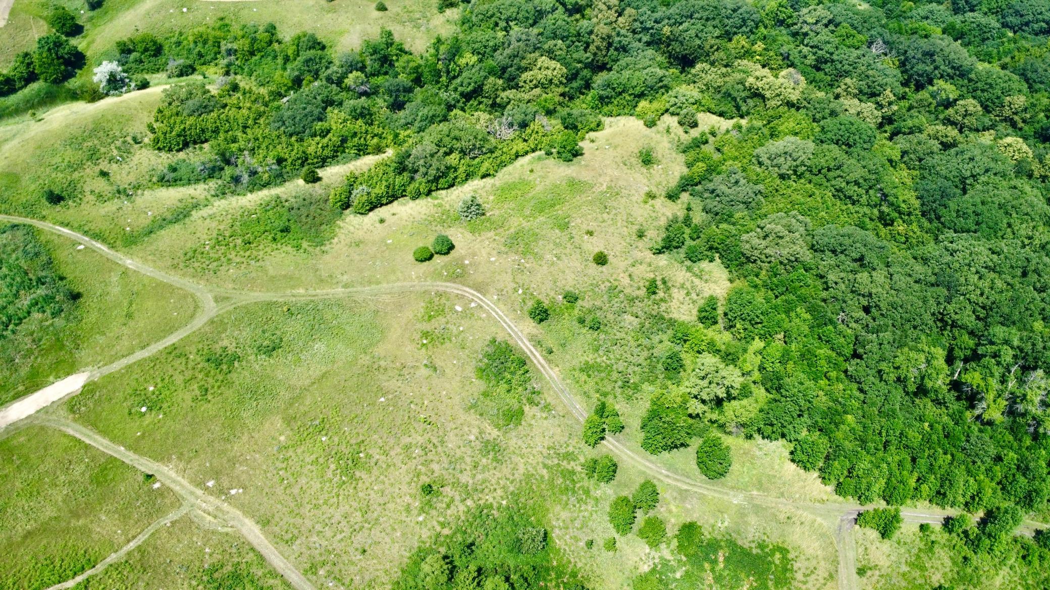 DJI_0202 2.jpg