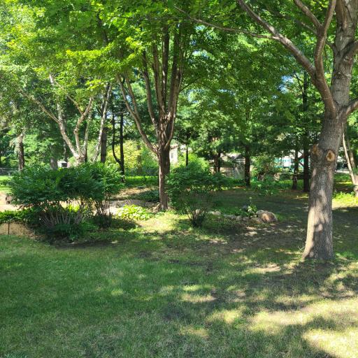 Comfortably Shaded Backyard