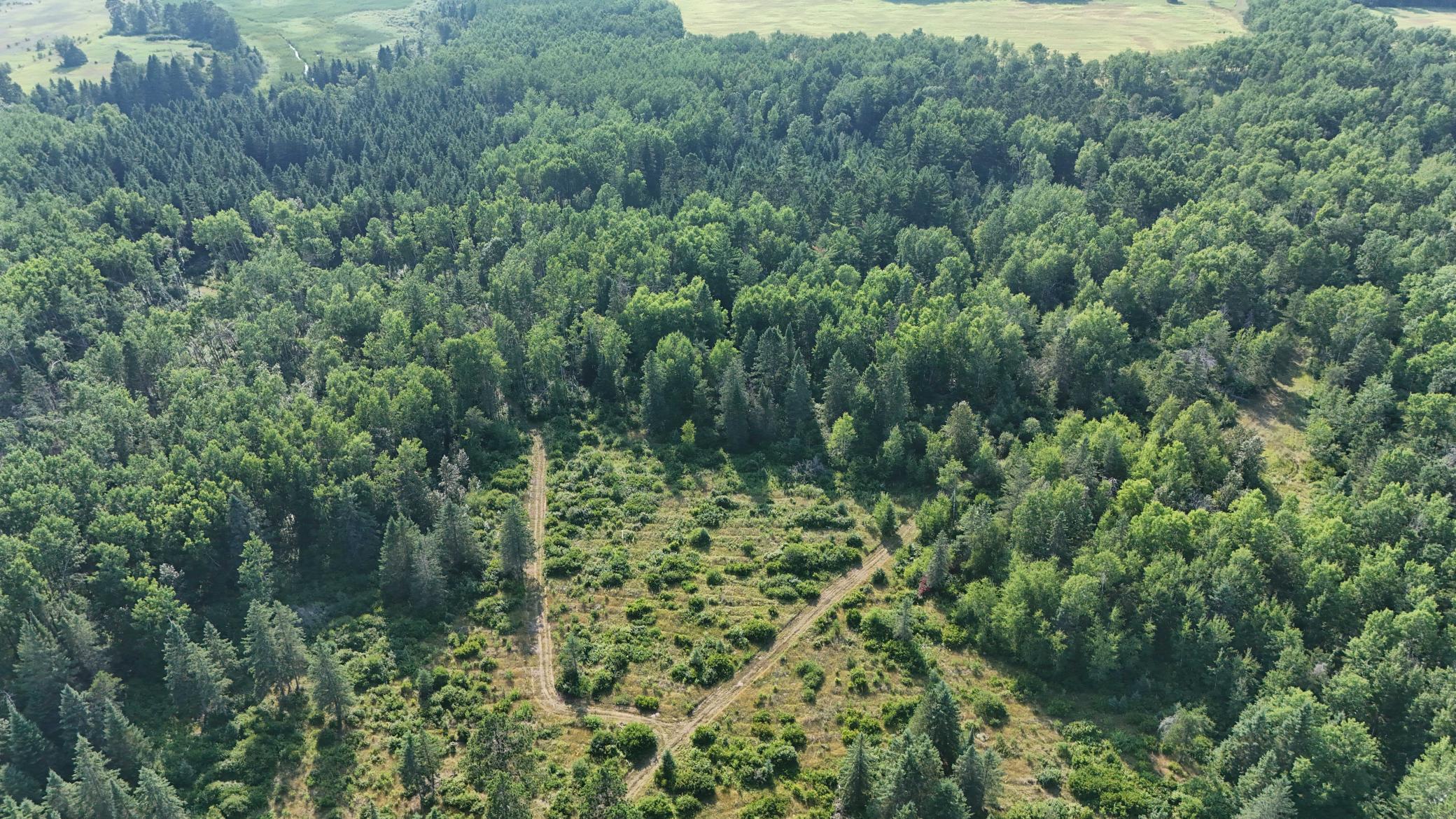 DJI_20260803171546_0971_D.jpg