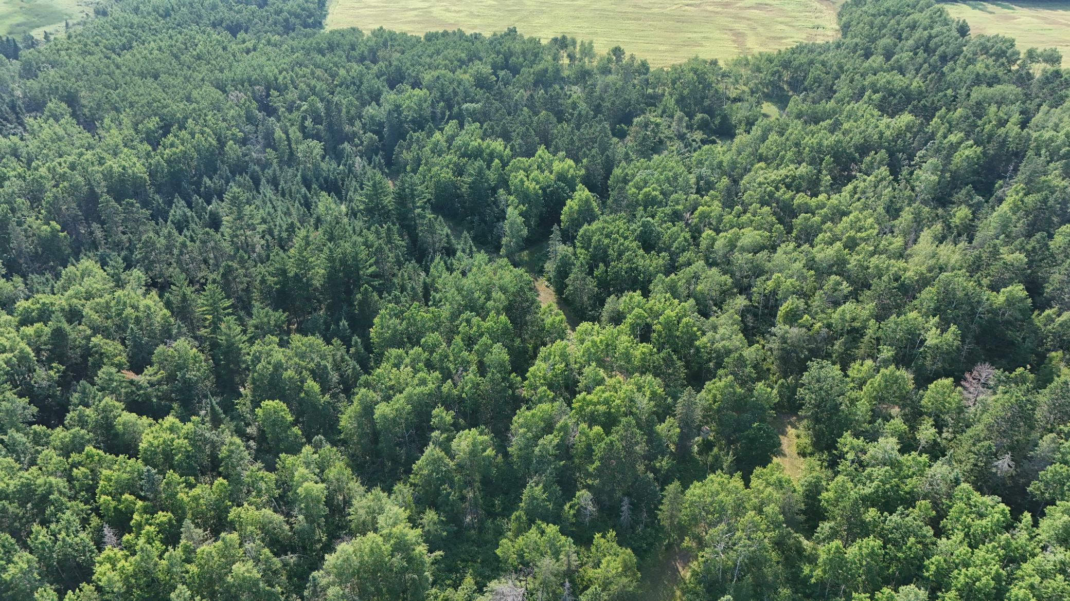 DJI_20260803171506_0967_D.jpg
