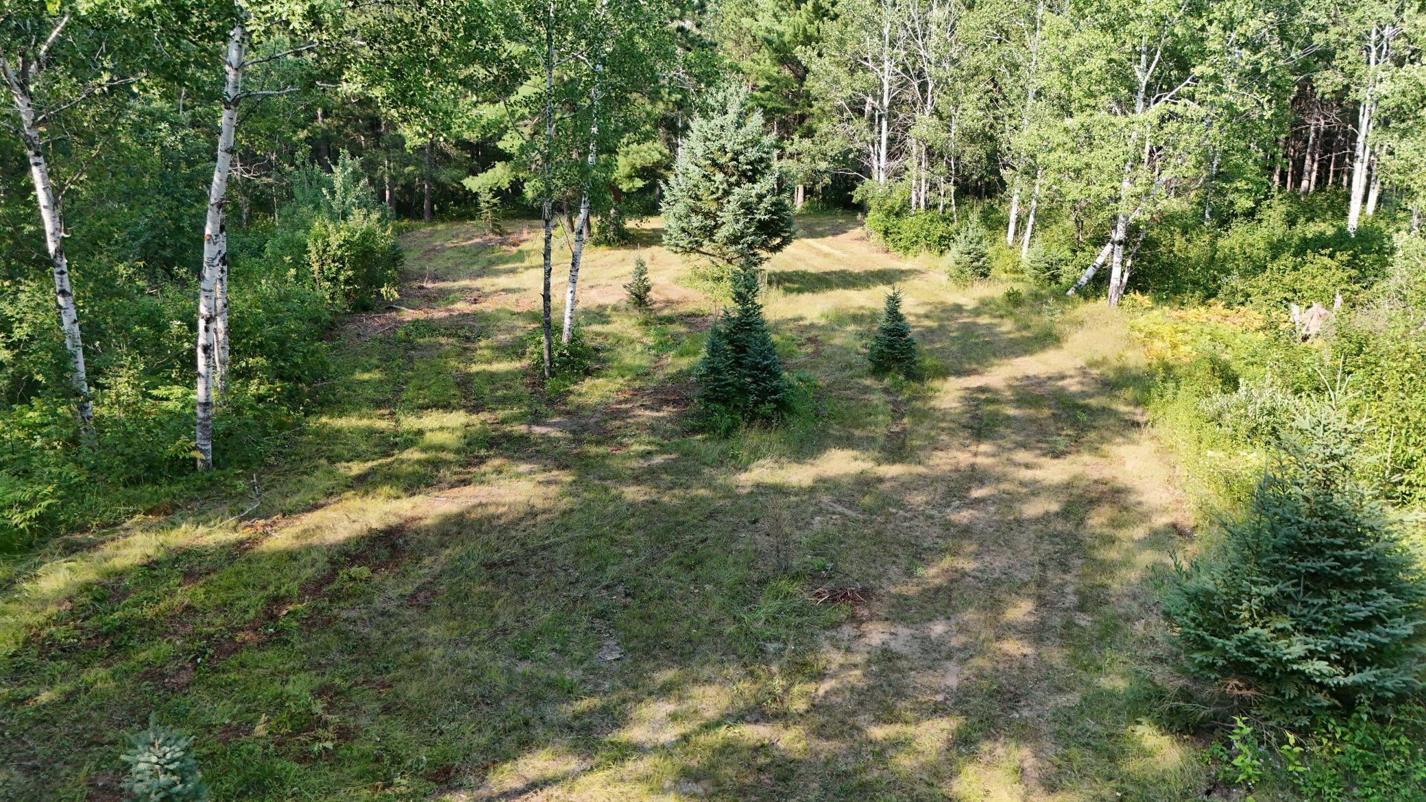 DJI_20260803171022_0946_D.jpg