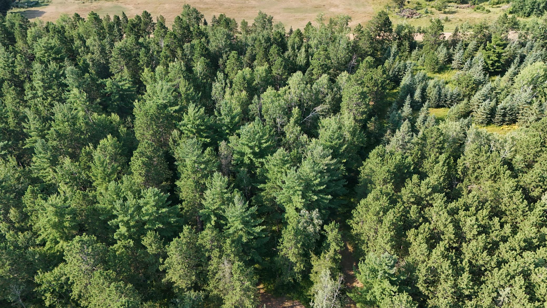 DJI_20260803171146_0956_D.jpg