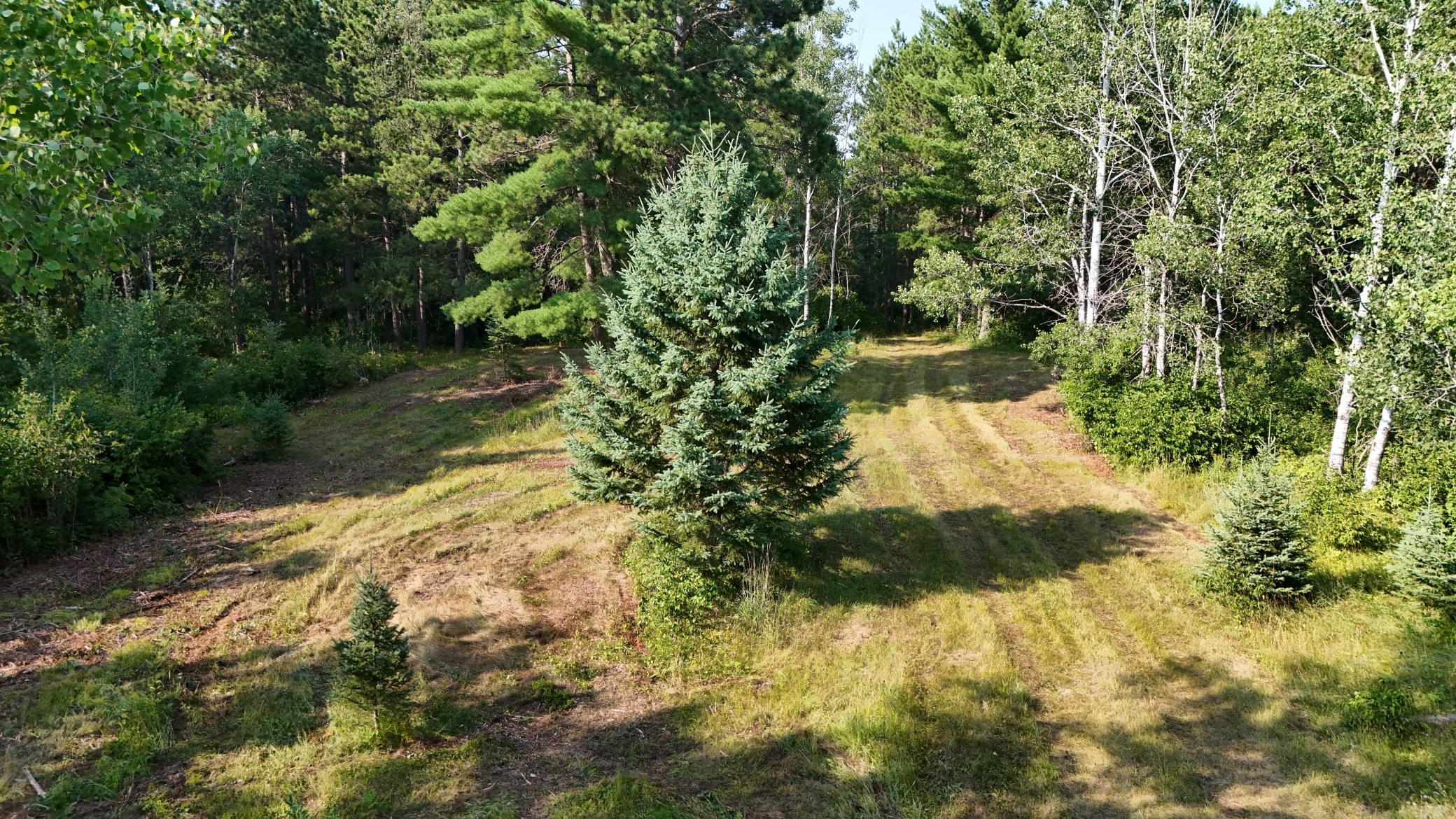 DJI_20260803171118_0954_D.jpg