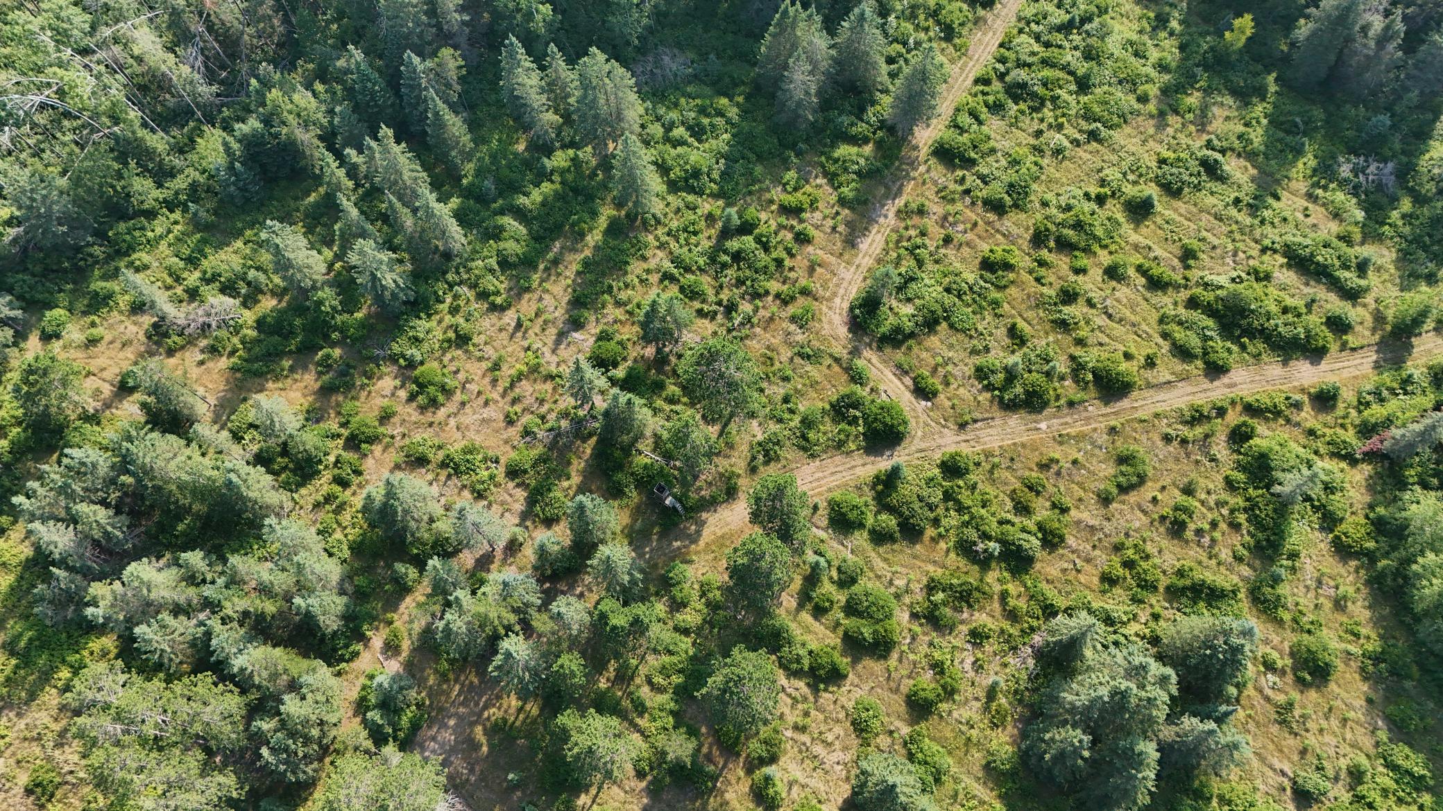 DJI_20260803171532_0969_D.jpg