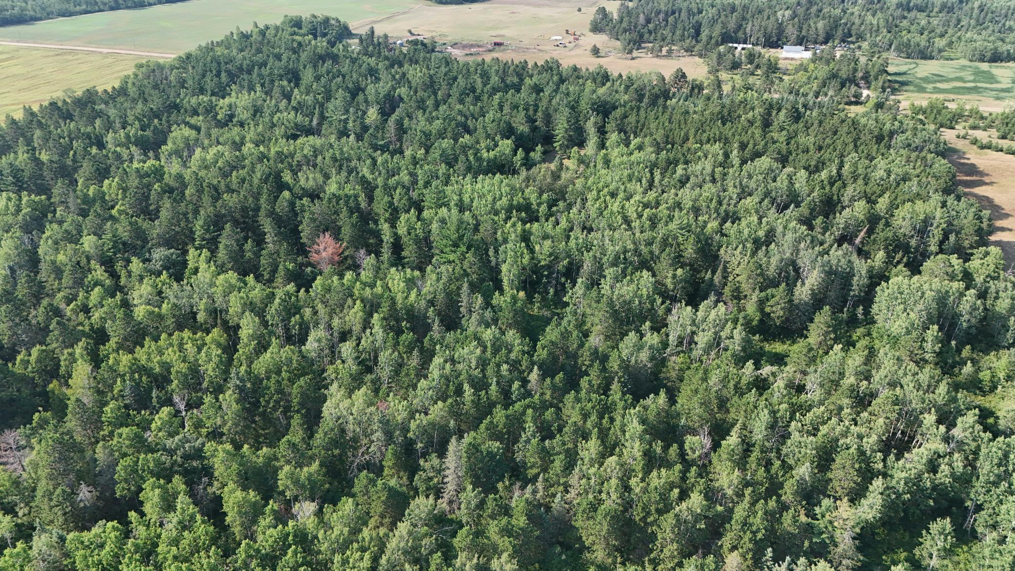 DJI_20260803171512_0968_D.jpg