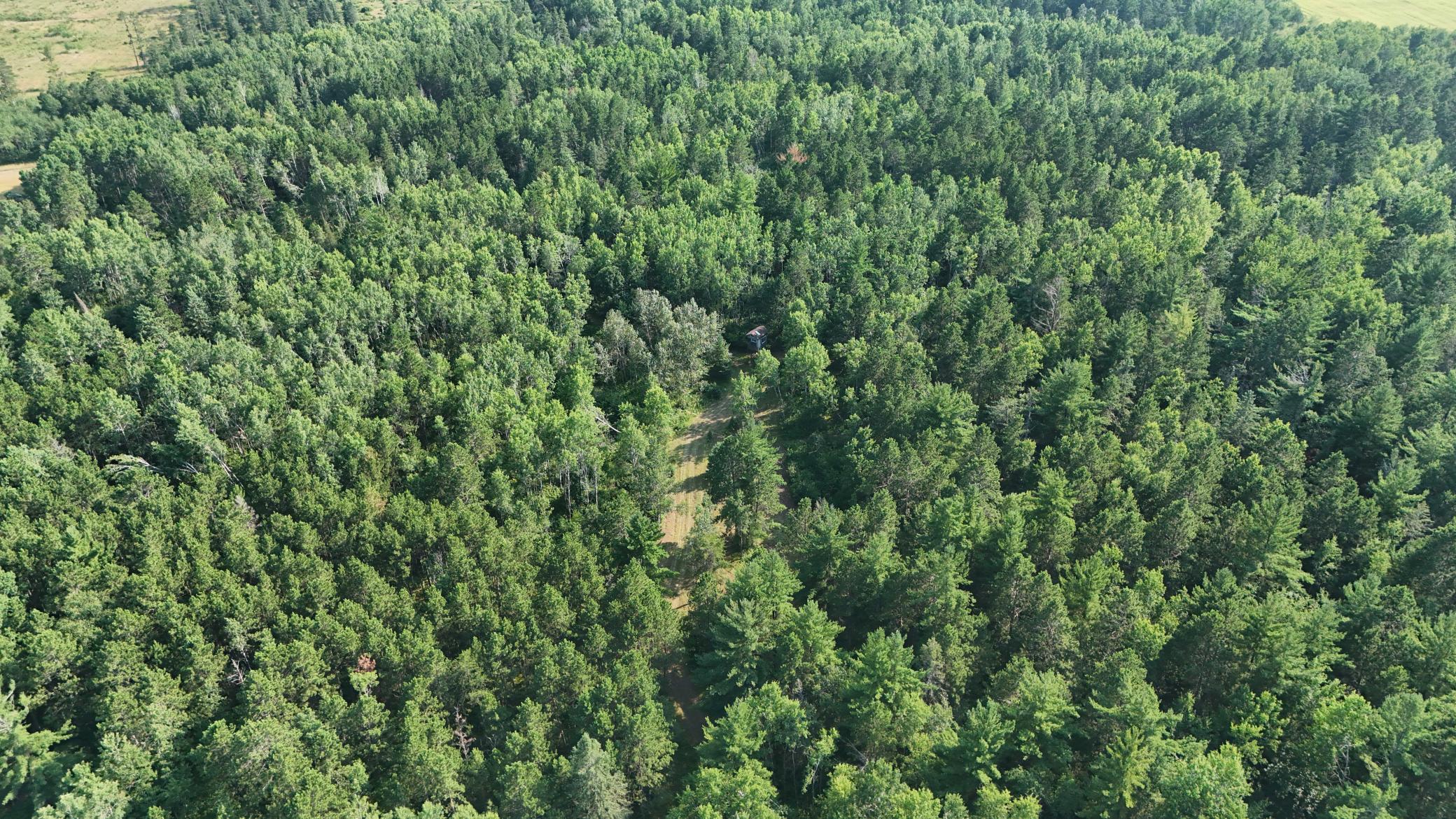 DJI_20260803171230_0959_D.jpg