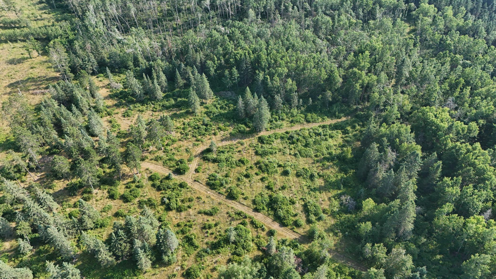 DJI_20260803171458_0965_D.jpg