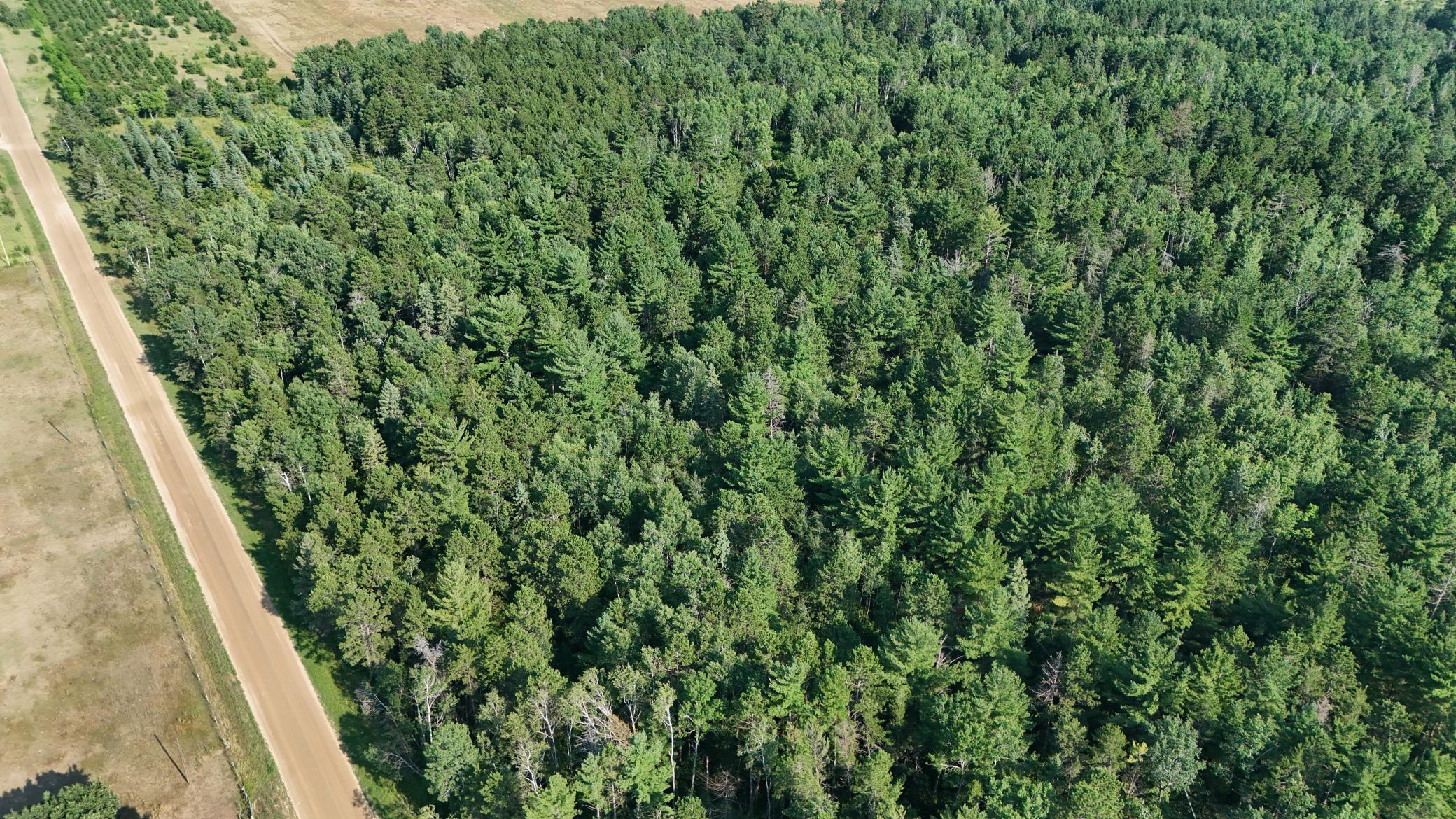 DJI_20260803171257_0960_D.jpg