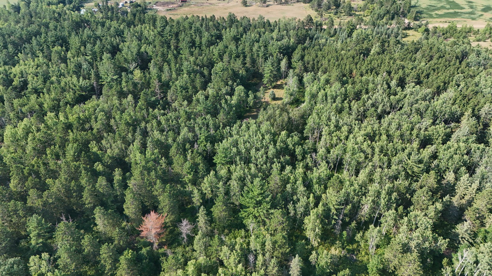 DJI_20260803171622_0973_D.jpg