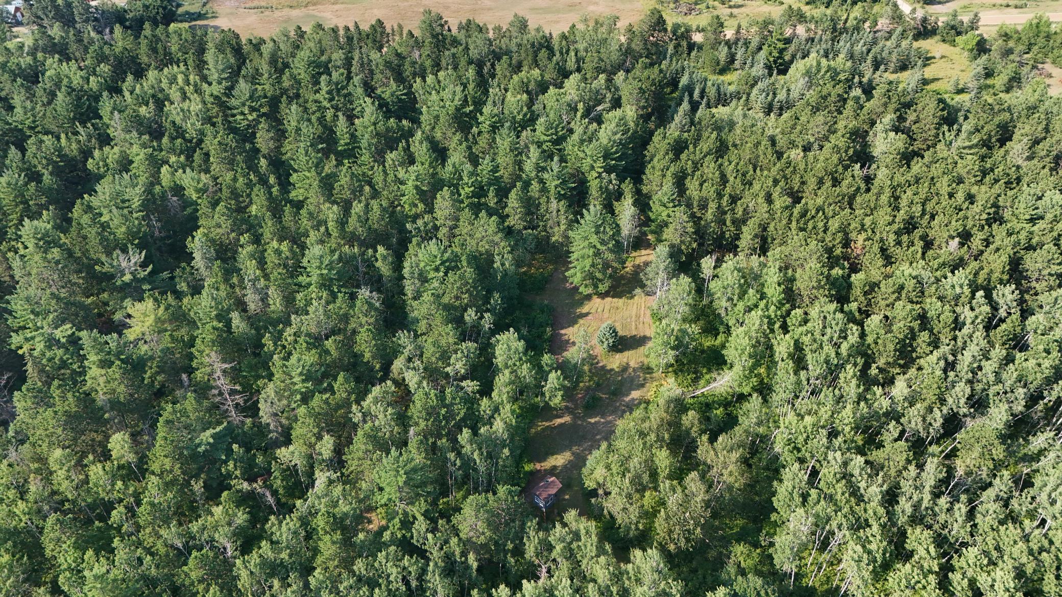 DJI_20260803171635_0974_D.jpg