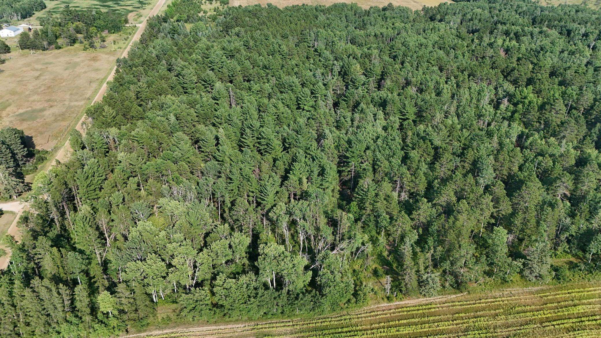 DJI_20260803171326_0961_D.jpg