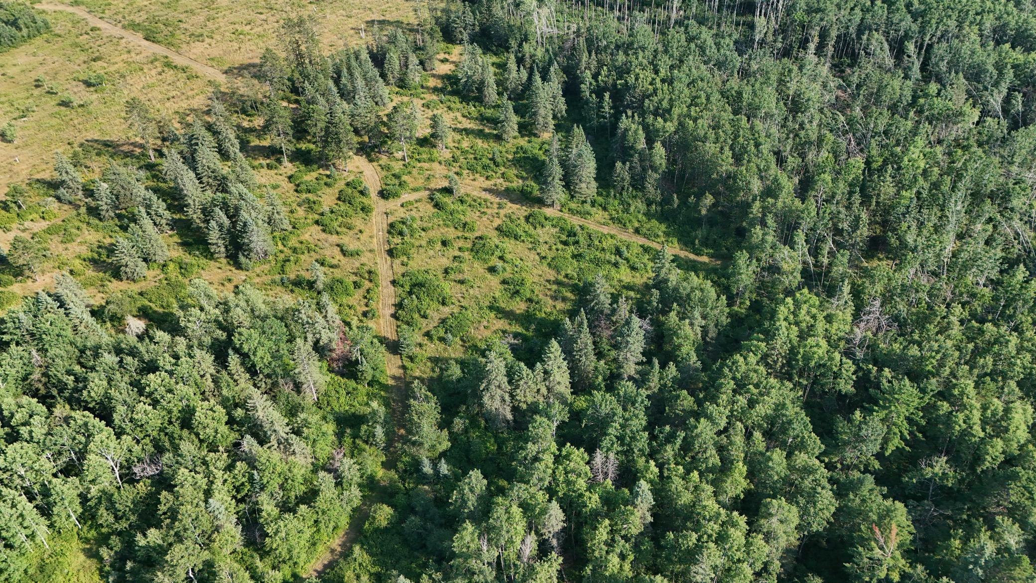 DJI_20260803171441_0964_D.jpg