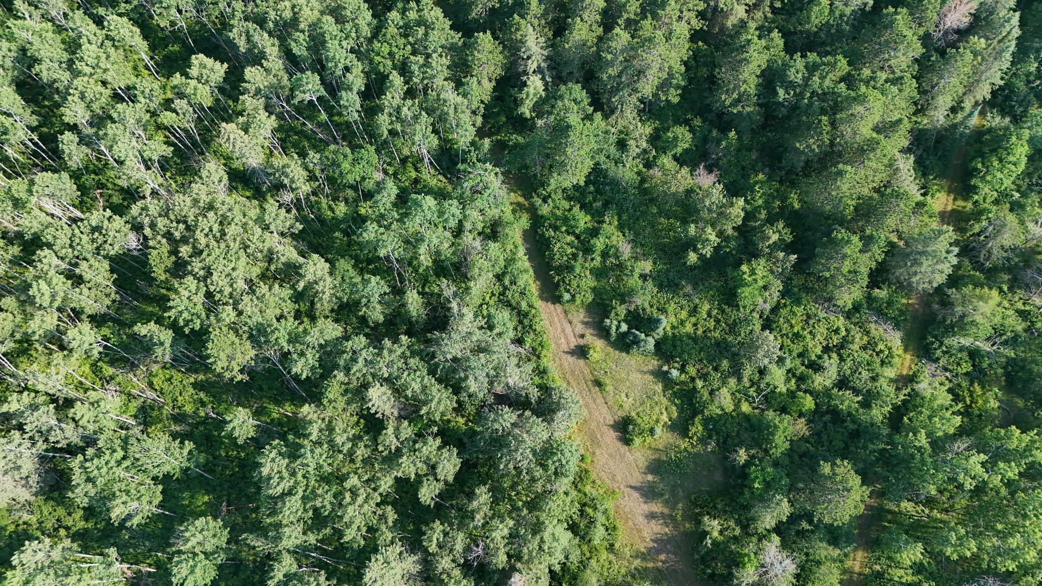 DJI_20260803171413_0962_D.jpg