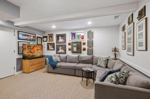Lower level family room