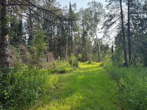 1159 HWY 83/Overton Rd., Meadowlands, MN 55765