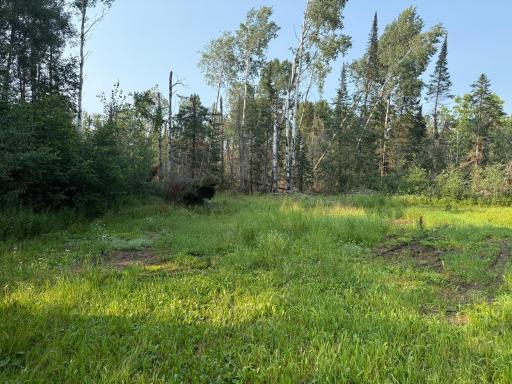 1159 HWY 83/Overton Rd., Meadowlands, MN 55765