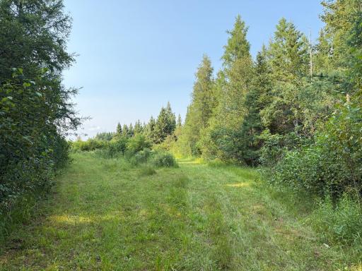 1159 HWY 83/Overton Rd., Meadowlands, MN 55765