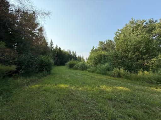1159 HWY 83/Overton Rd., Meadowlands, MN 55765