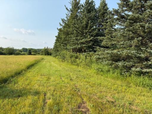 1159 HWY 83/Overton Rd., Meadowlands, MN 55765