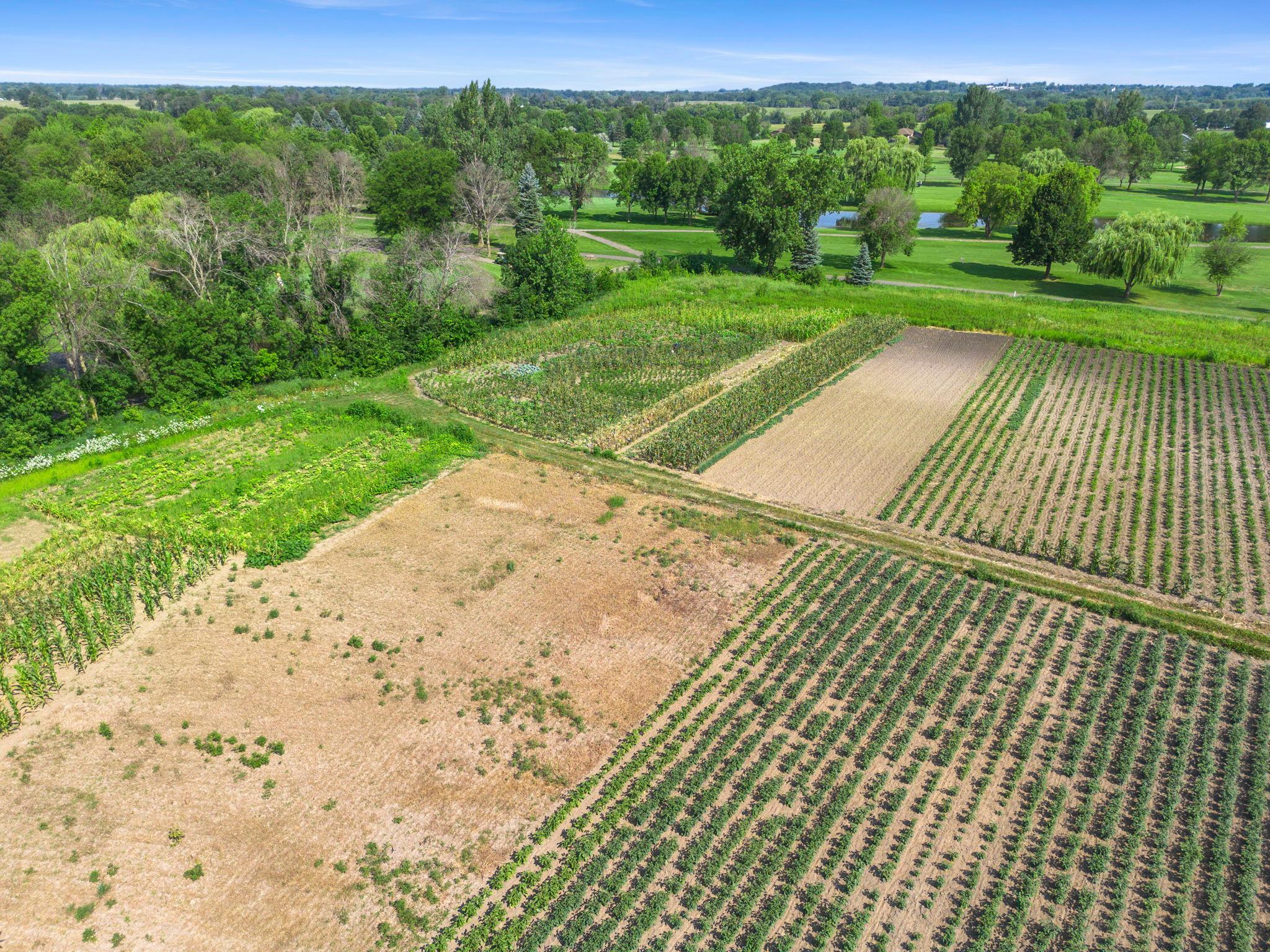 25-web-or-mls-10625 County Rd 116 -83.jpg