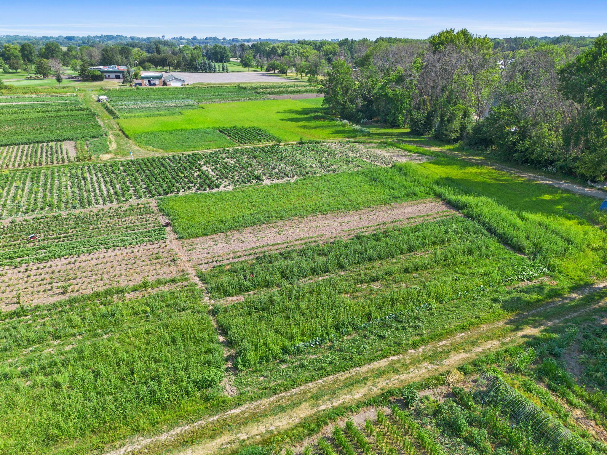 29-web-or-mls-10625 County Rd 116 -89.jpg