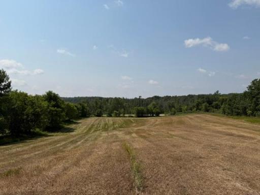 40328 Long Lake Road, Richville, MN 56576