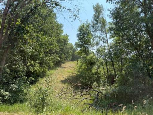 40328 Long Lake Road, Richville, MN 56576