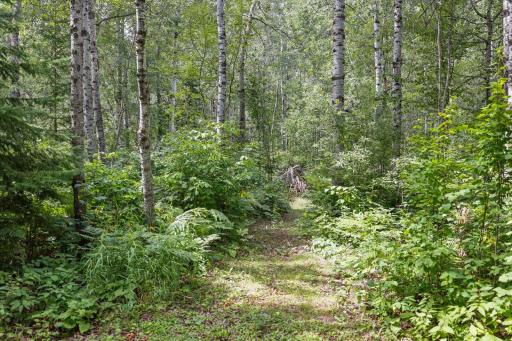 8557 Highway 21 N, Babbitt, MN 55706