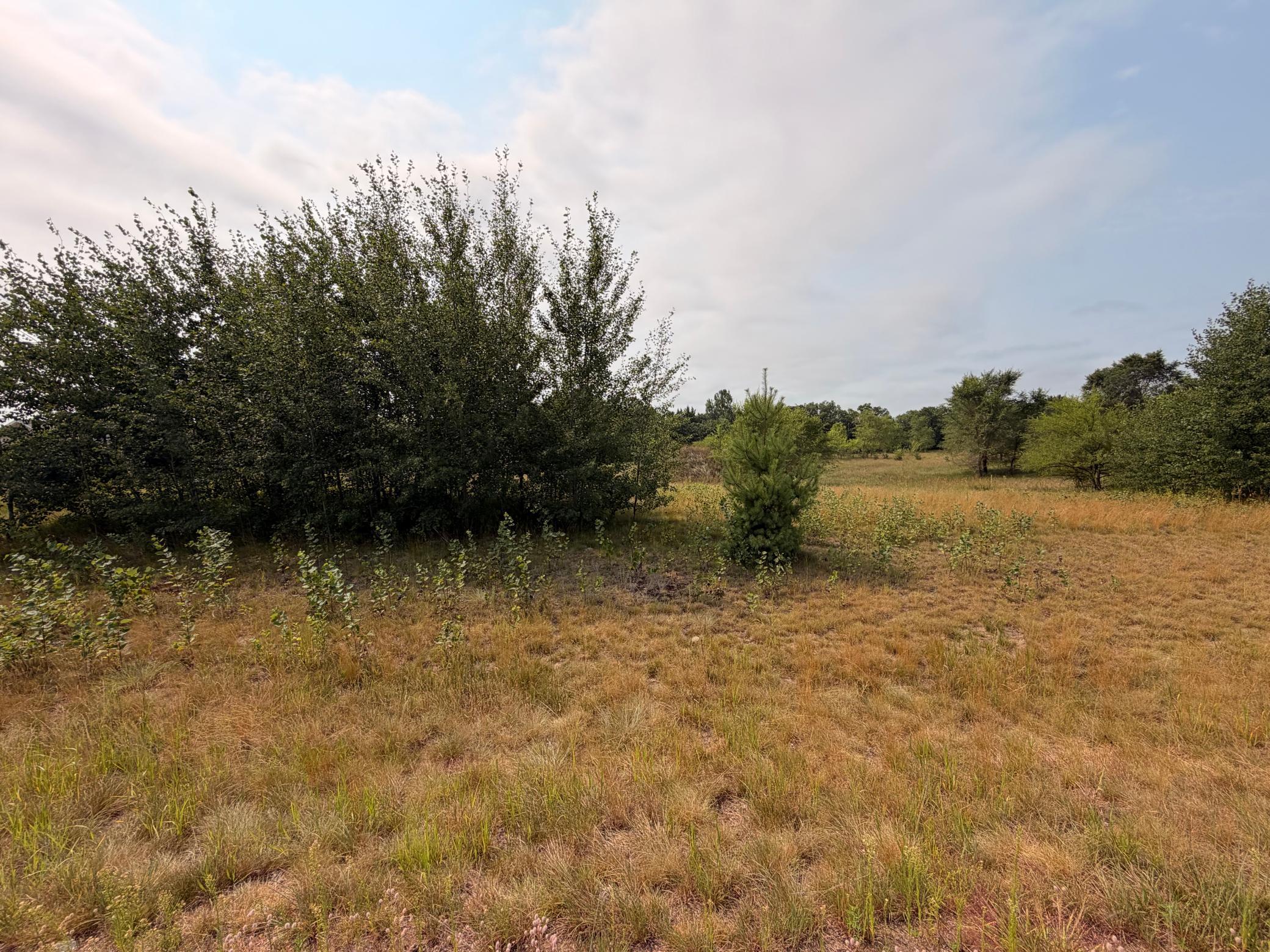 Property photo for 1961 Nelson Lake Road, Pillager, MN 56473