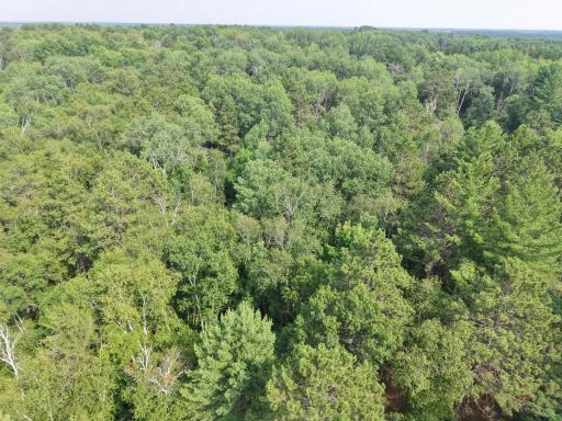 22034 County 2, Nevis, MN 56467